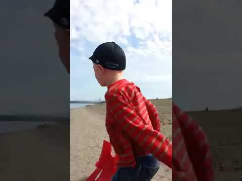 How (USER) Throws A Tantrum Over Wanting A Beach Ball