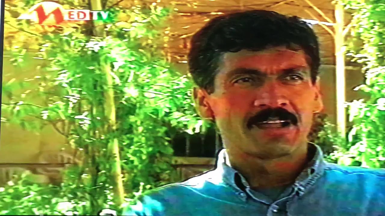 Hozan Brader : Harûnê Min