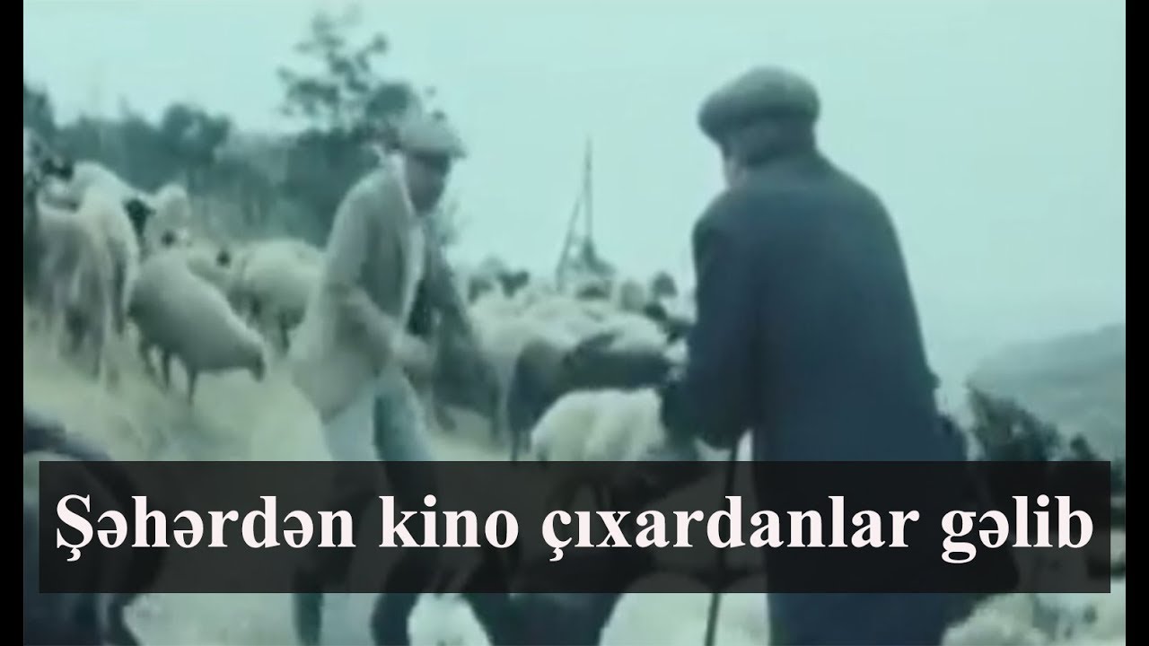 Şəhərdən kino çıxardanlar gəlib - WhatsApp üçün statuslar (