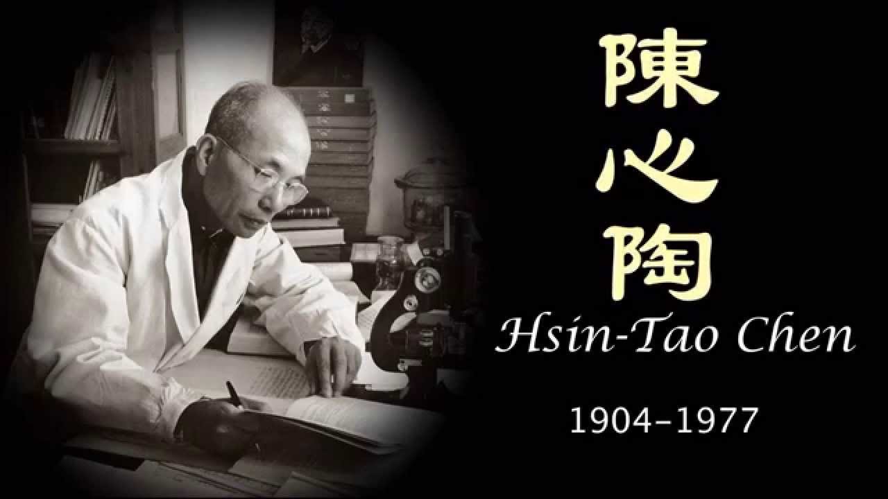 Hsin Tao Chen