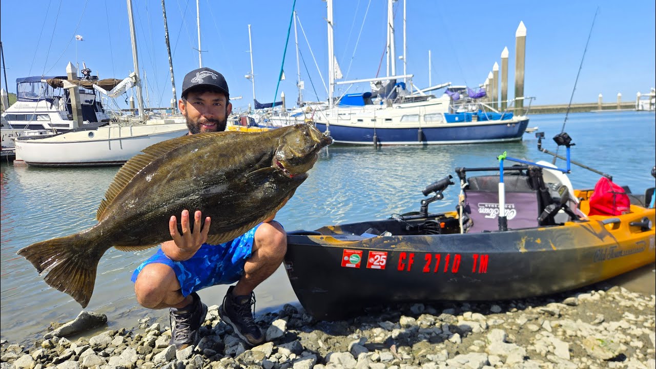 HUGE Halibut Hooked in Clear Water 5ft Deep