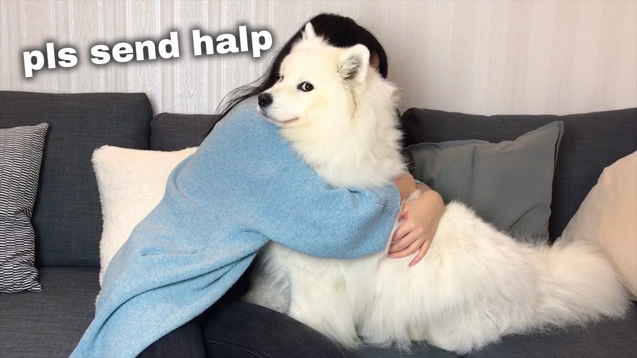 Hugging my dog for too long [FUNNY REACTION] 😂