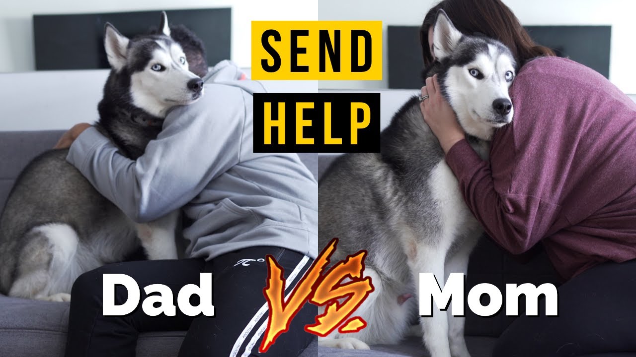 Hugging my dog for too long FUNNY REACTION