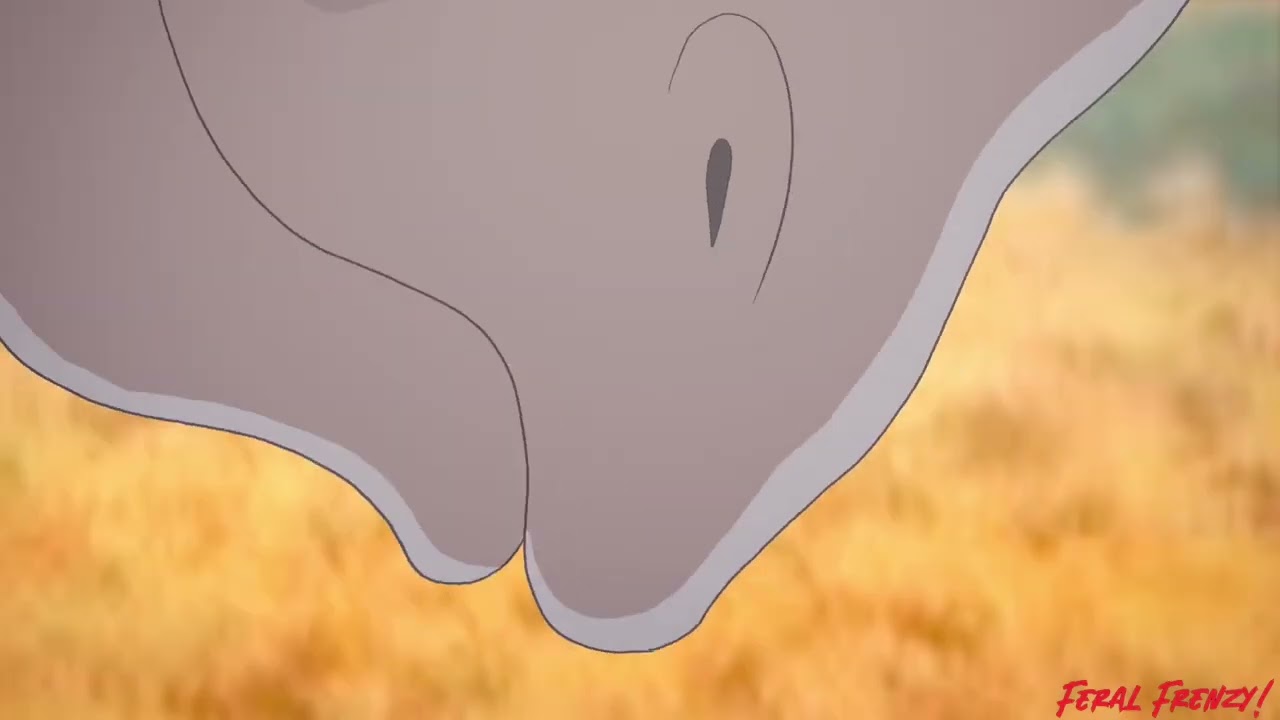 Human Male X Rhinoceros Feral frenzy!