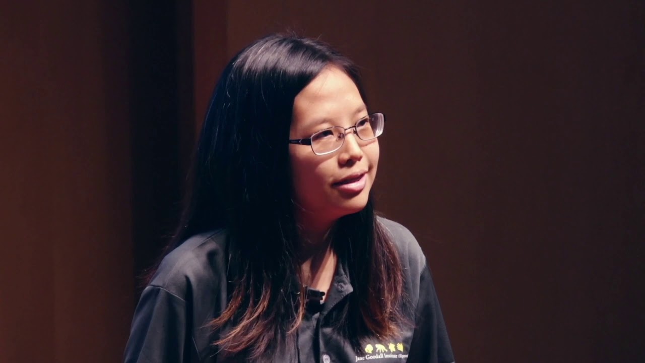 Humans and Macaques in Singapore | Jia Hui Qiu | TEDxYouth@Punggol