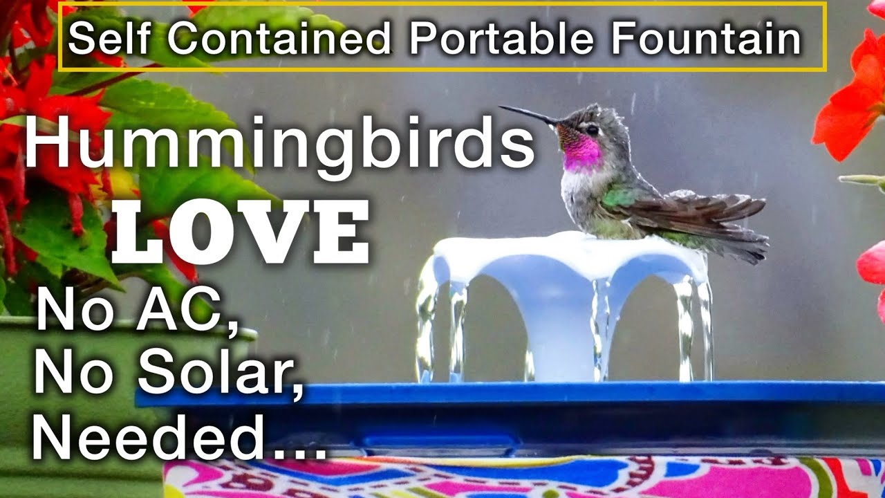 Hummingbird FOUNTAIN Attracts Hummingbirds *NO Sun Solar AC Needed PORTABLE Birdbath Garden or Patio