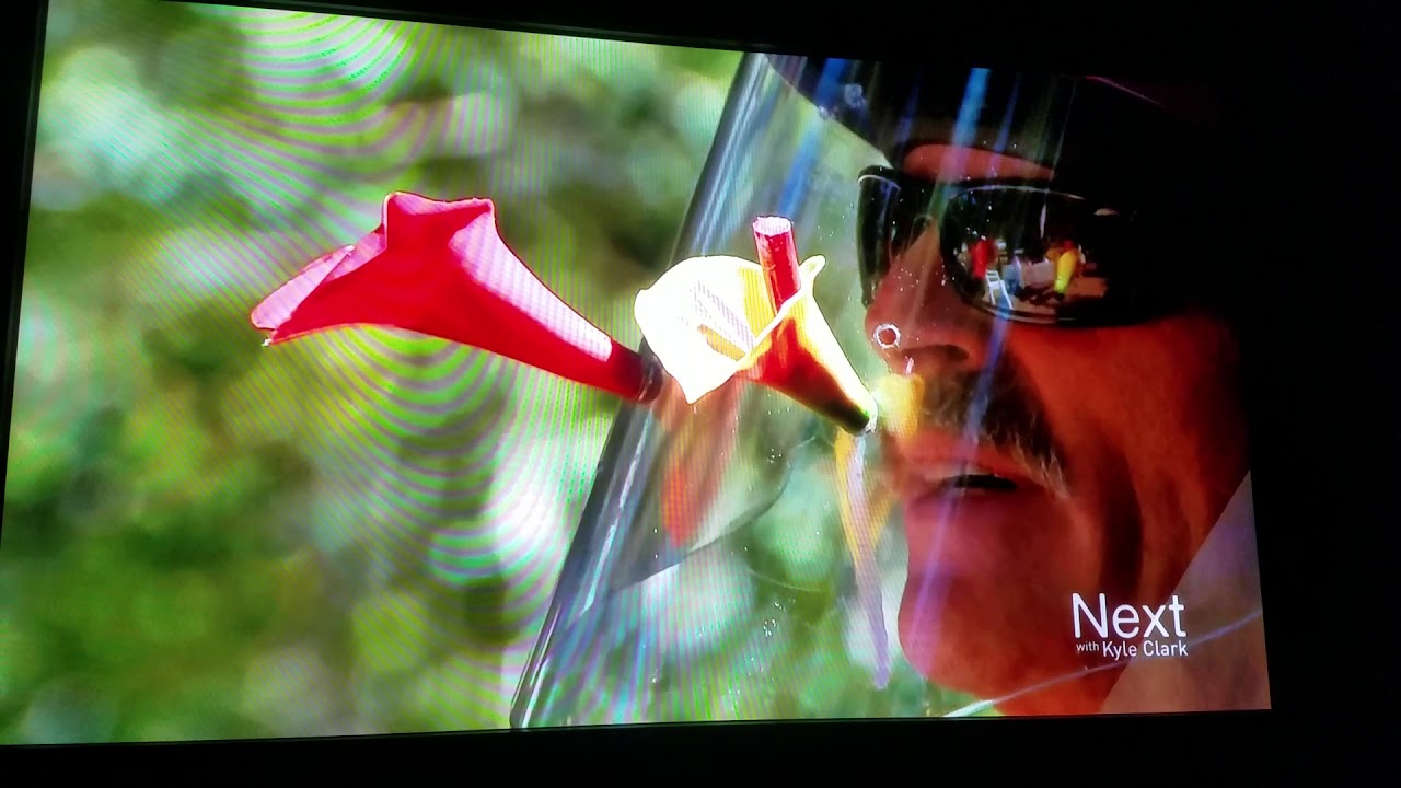 HummViewer -  Wearable Hummingbird Feeder. Observe Hummingbirds right before your eyes. So much fun!
