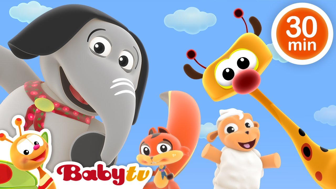 Humpty Dumpty 😁 + Inne piosenki dla dzieci i rymowanki 🎵 | Impreza taneczna  @BabyTVPL