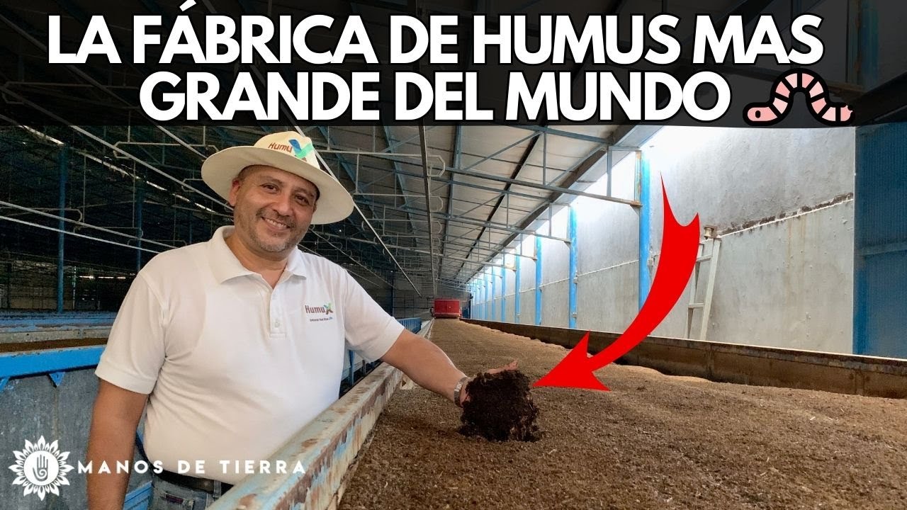 Humus de Lombriz en Cantidades Masivas: Tour por la Fábrica MÁS GRANDE DEL MUNDO 🪱🪴🌱