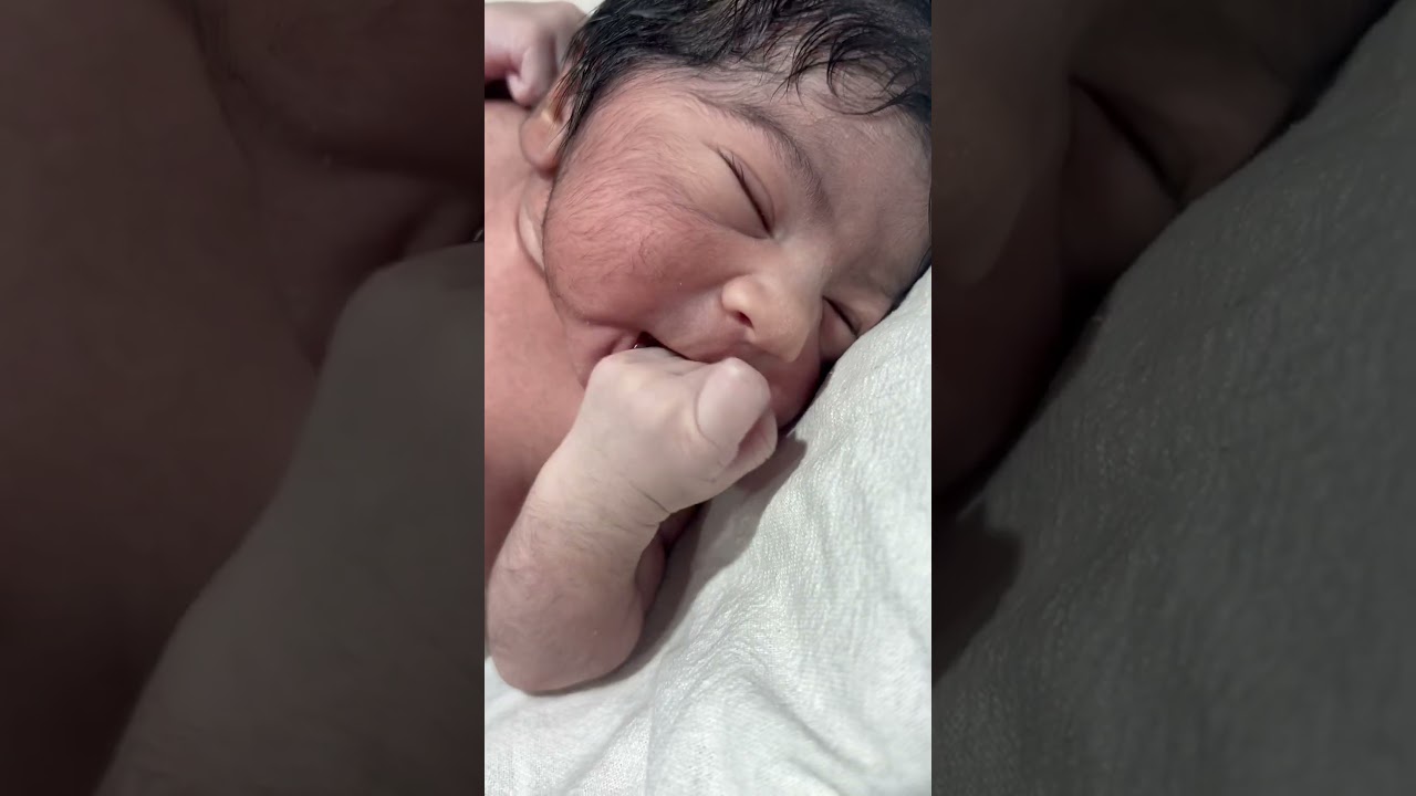 Hungry bird in the world #cutebaby #babbyshoot #youtubeshorts #cute #babyboy