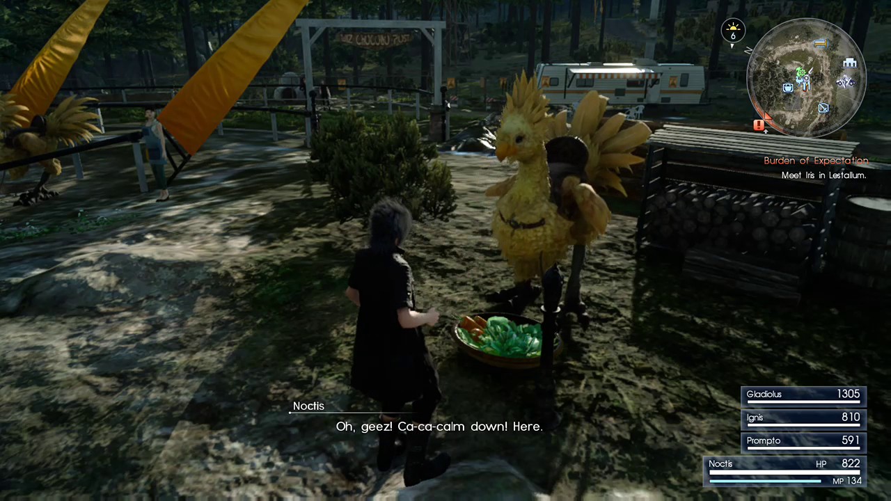 Hungry Hungry Chocobo || FINAL FANTASY XV
