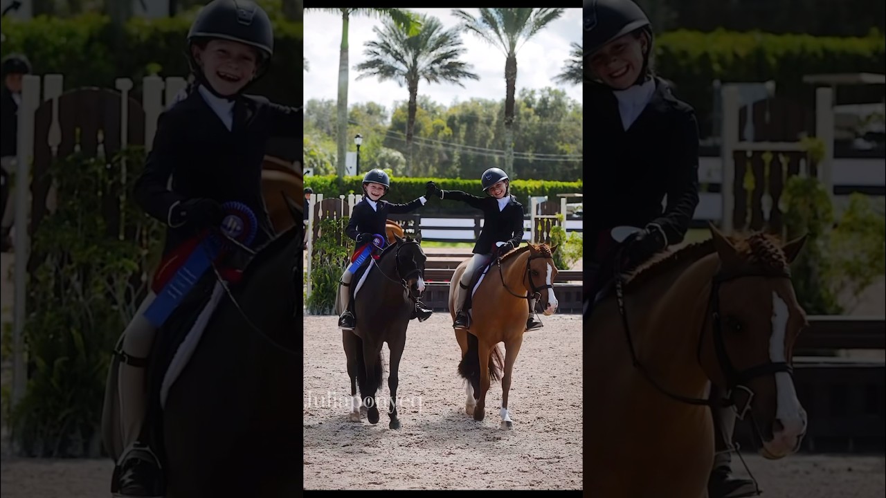 Hunter ponies 🔛🔝#pony #showpony #cute #hunters #horseriding #equestrian