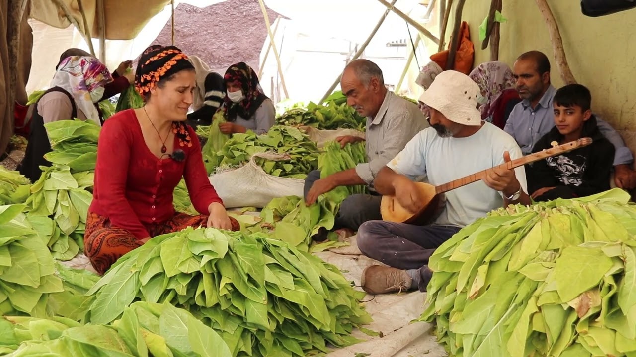 HURİYE ZEYNAL AHUZAR DERDE DILA