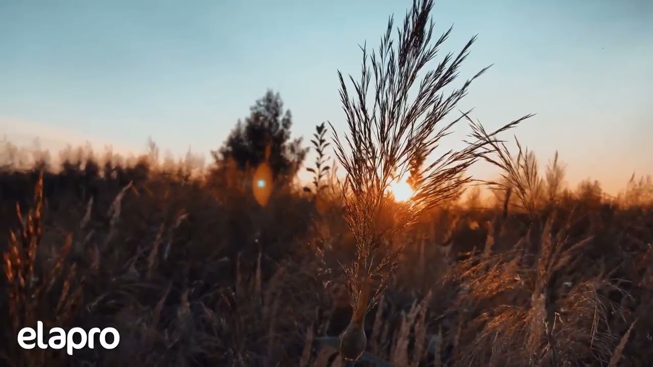 HUZUR VEREN TÜRKÜLER - Dinlendirici - Rahatlatıcı Ezgiler #elapro