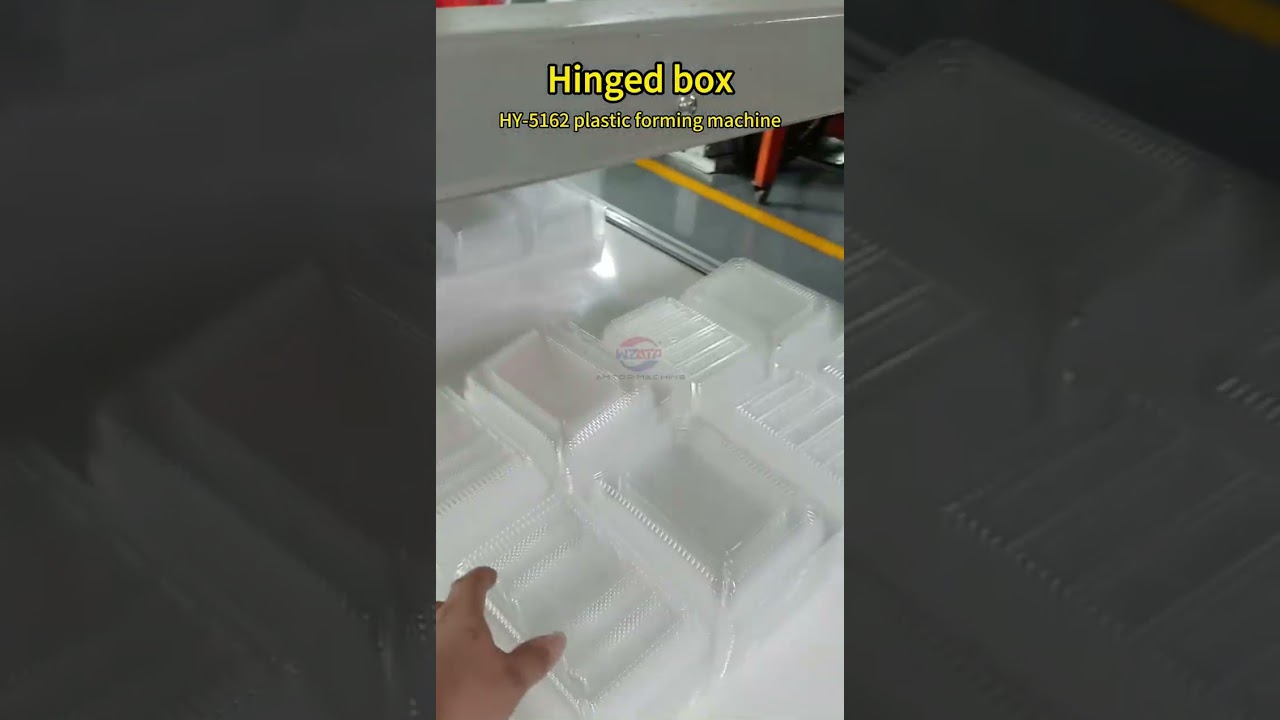 HY- 5162 plastic BOPS/PET thermoforming machine for hinged box,