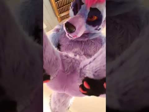 Hypno Doggo Sits On Your POV (Fursuit Butts) #Shorts