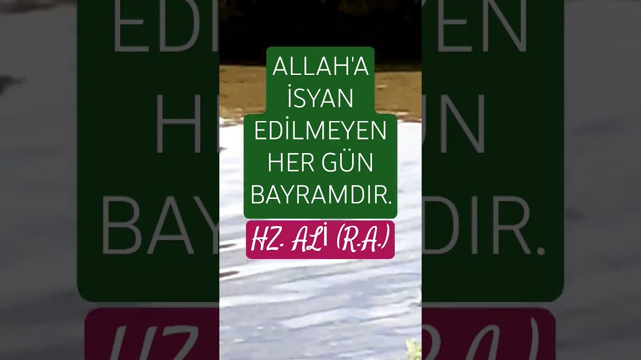 HZ ALİ BAYRAM HAKK. #shorts#quates #hzali#bayram#ytshortsvideo#güzelsözler#fyp#keşfet#motivation