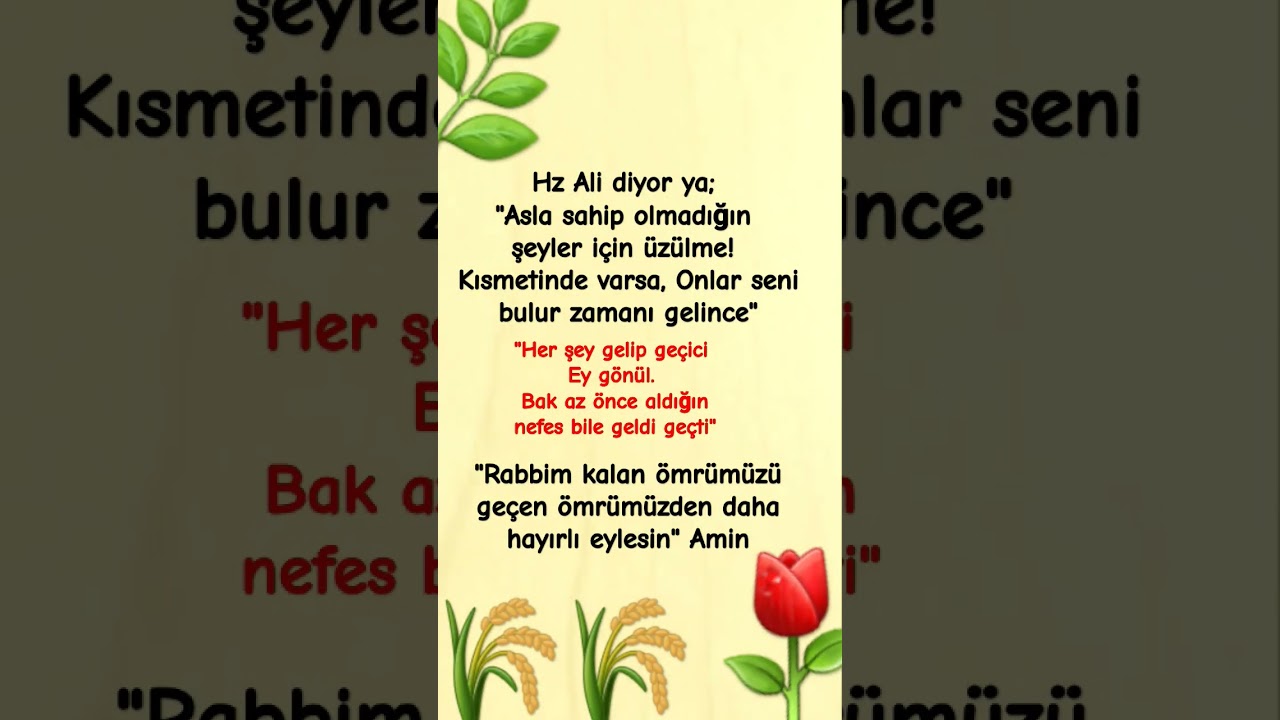 Hz Ali diyor ya; 