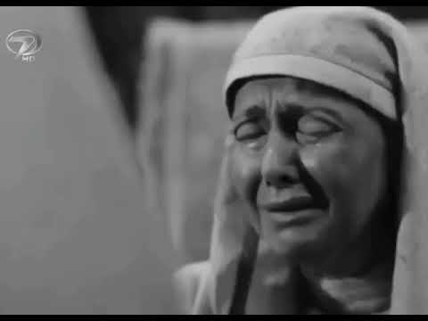 Hz Yusuf zülehya aşkı  whatsaap durum videoları
