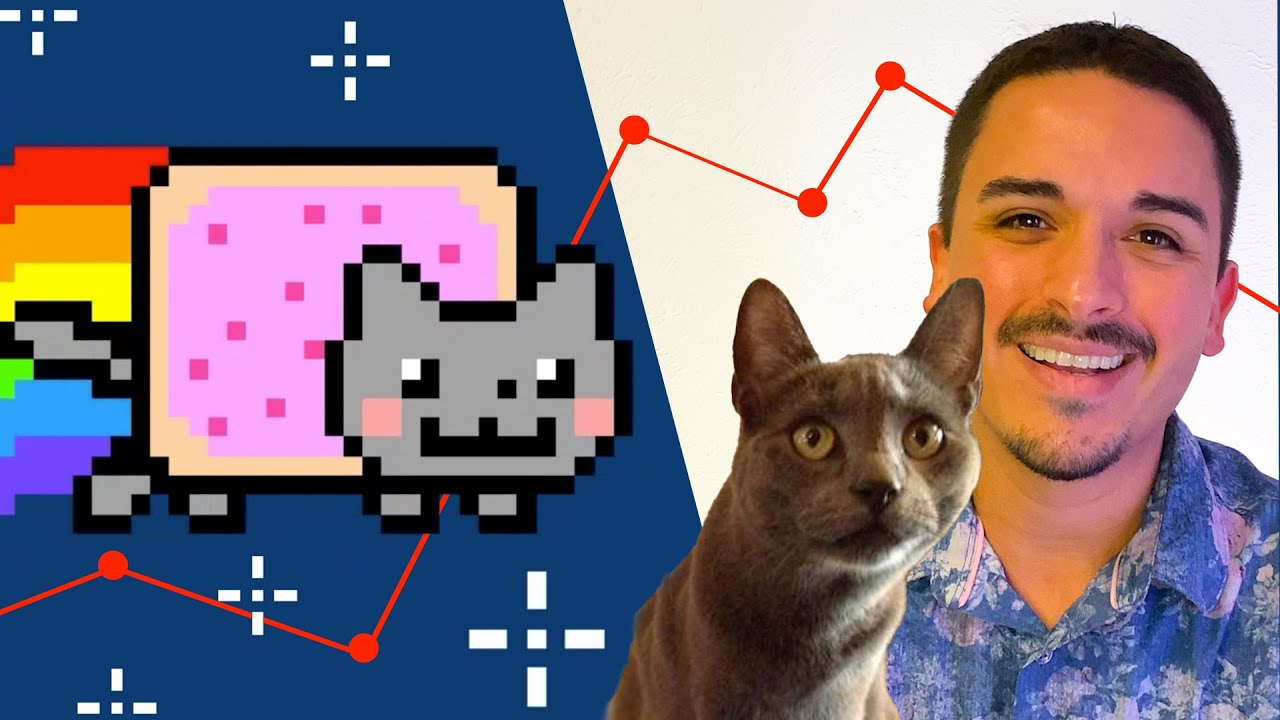 I Accidentally Became A Meme - Nyan Cat