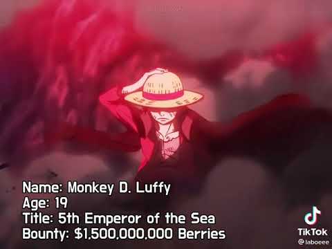 I am not a king I am not a God I am monkey D.luffy