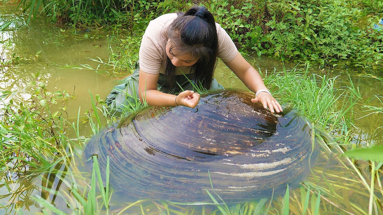 I awakened the pearl clam that had been sleeping for a hundred years, and it brought me great wealth