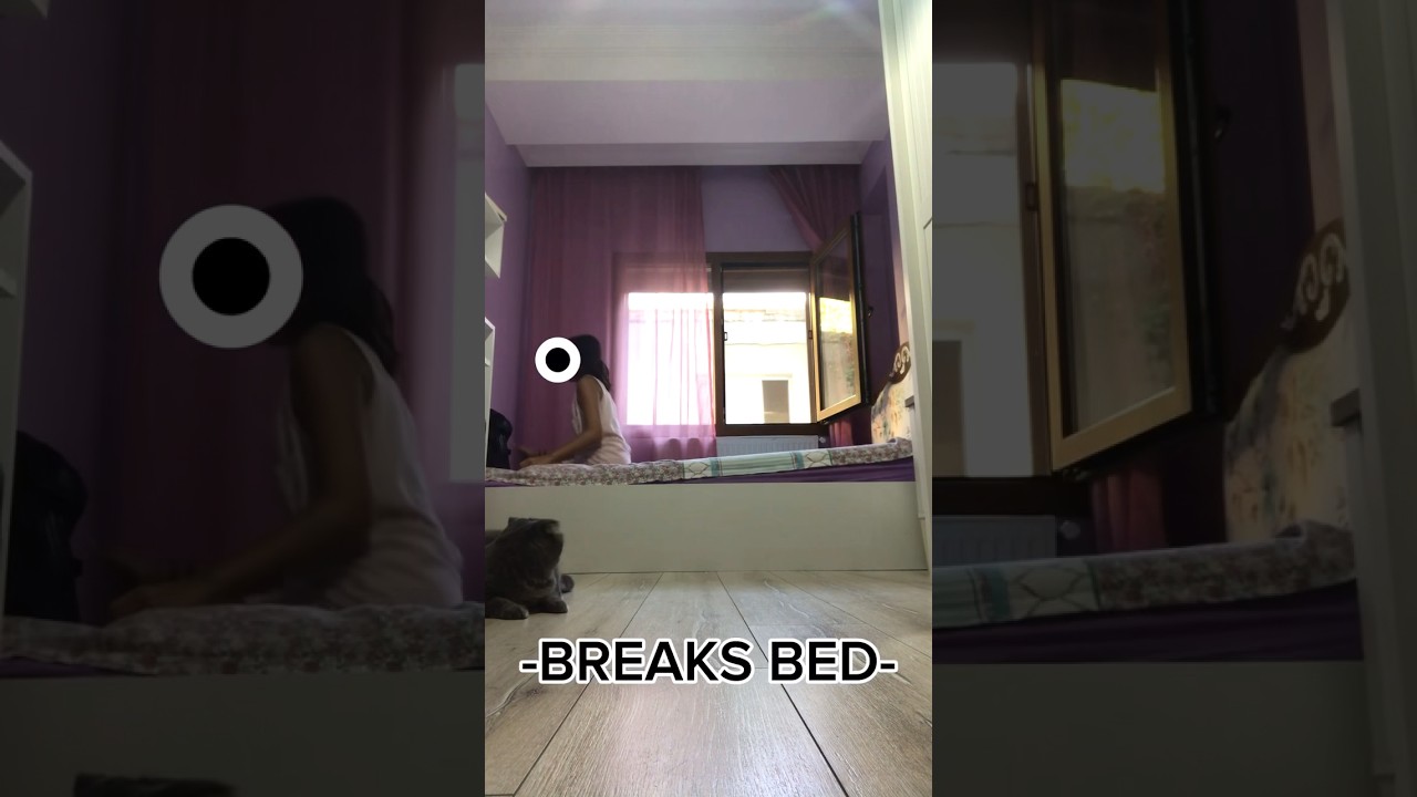 I BROKE MY BED WHİLE DİONG QUADS #funny #fail #antizoo #furry #therian #therianthropy