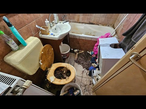I Cleaned the Most Disgusting Toilet in Hungary 🤢