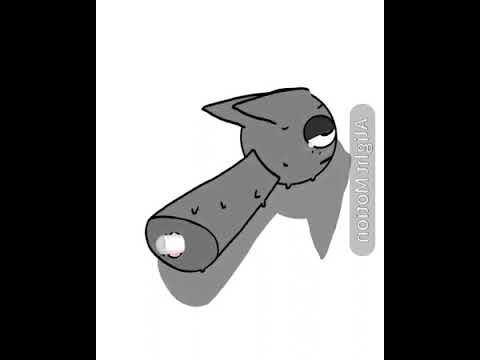 I Found A Adult Video On Thisvid... #hustlaboogie #hellokitty #грей #adult #+18