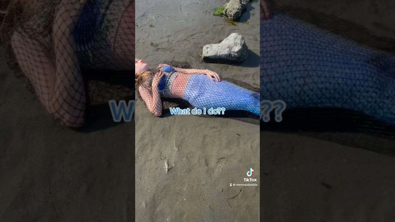 I found a mermaid washed up on the beach.. what do I do?? #realmermaid