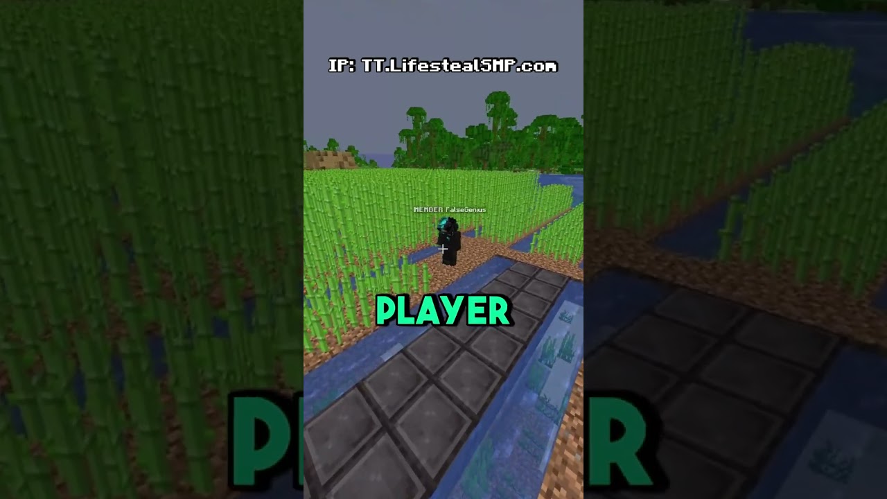 I helped this NOOB