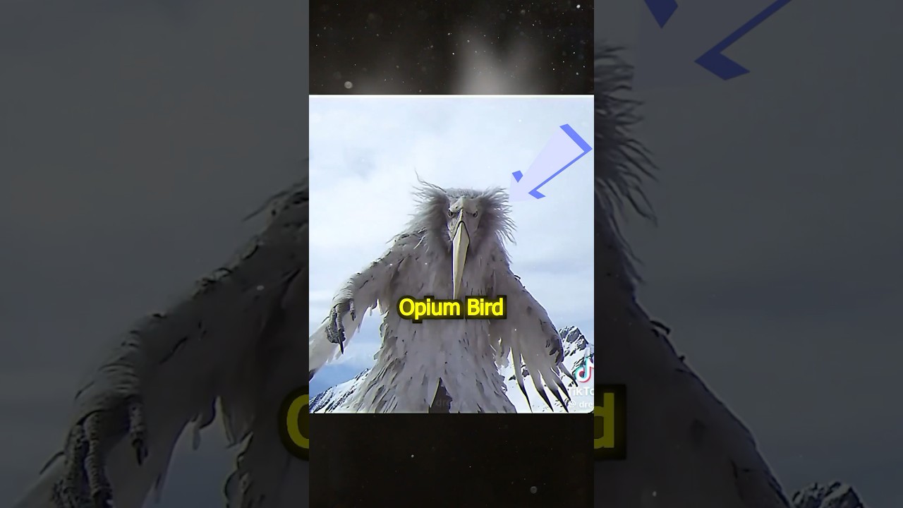 I Investigated The OPIUM BIRD… 🪽