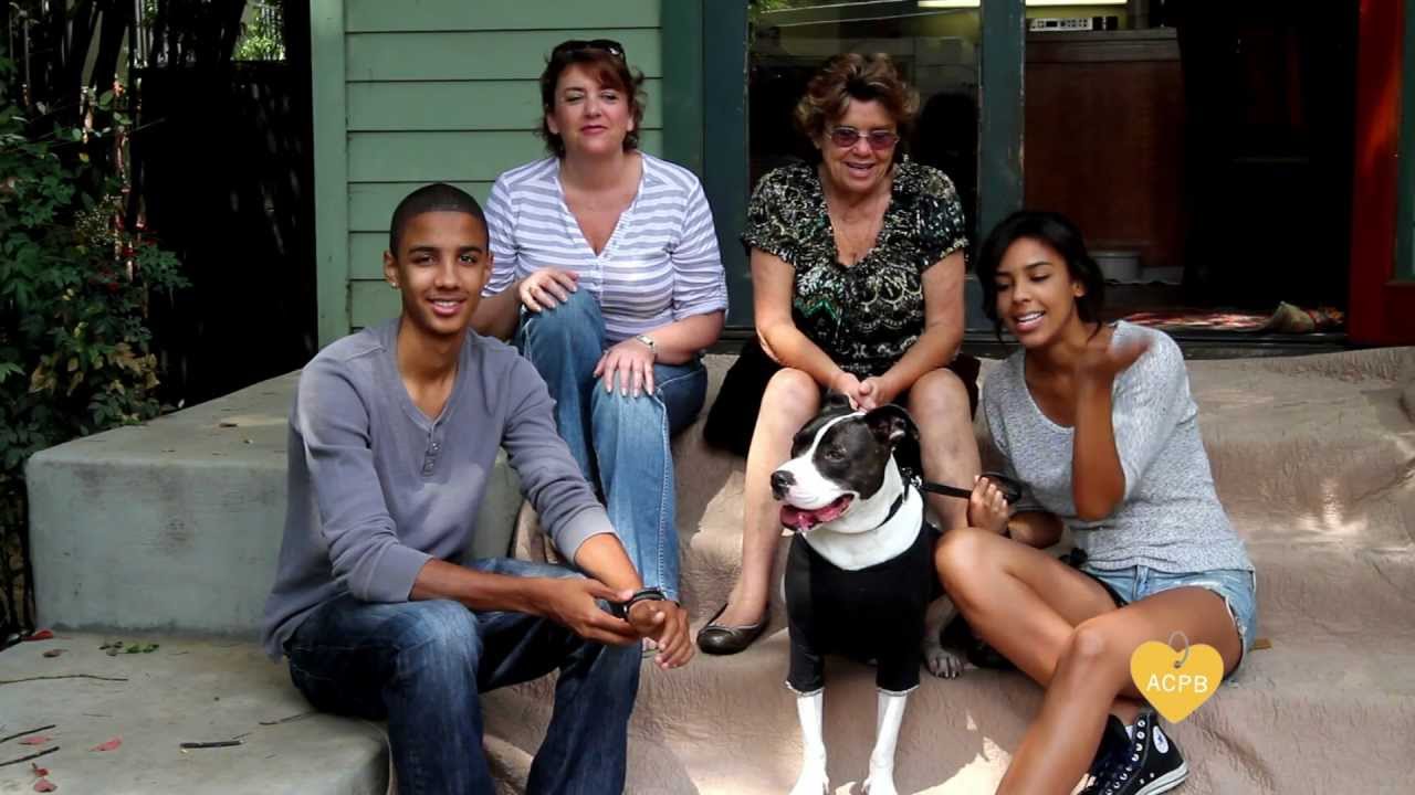I Love My Pit Bull - ACPB PSA #3