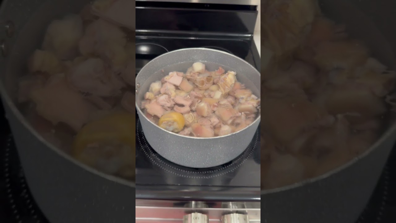 I made pork souse for the first time 😋 too good y’all! #tempestroshelle #souse