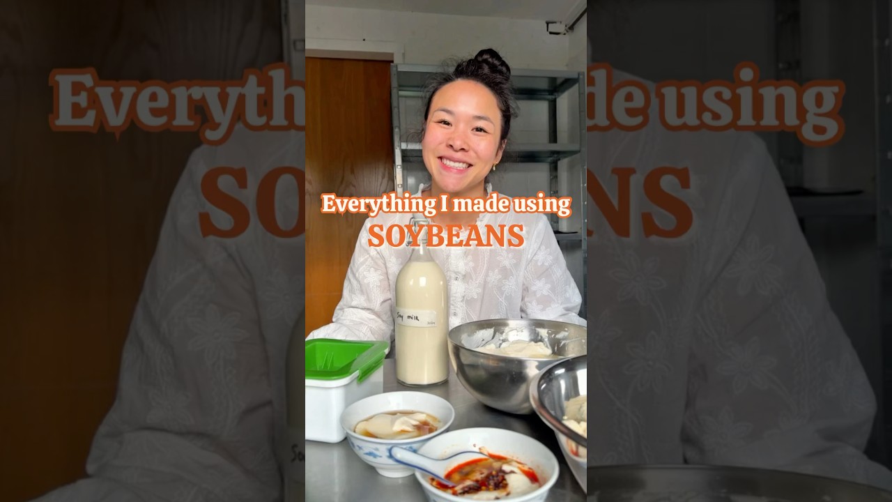 I Made Silken Tofu, Soy Milk, Yoghurt & Okara Cookies From Just Soybeans | From Scratch Cooking