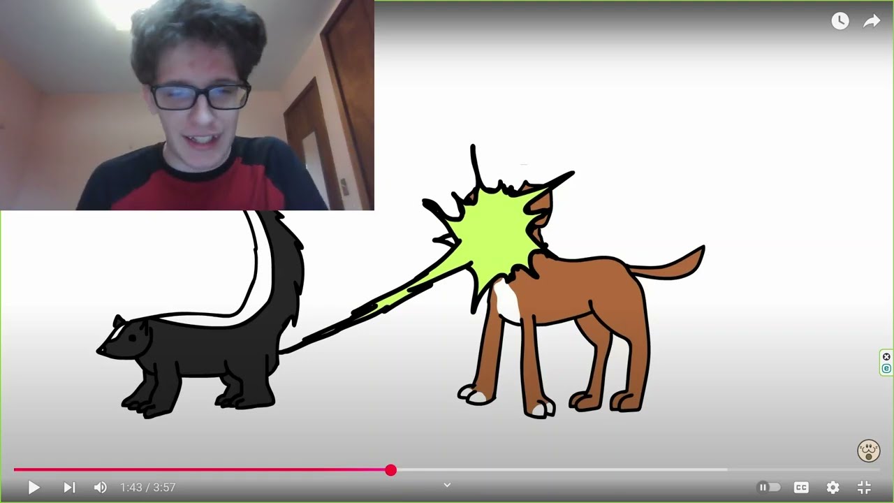 I REACT TO Hamination's Unlucky Camping Trip