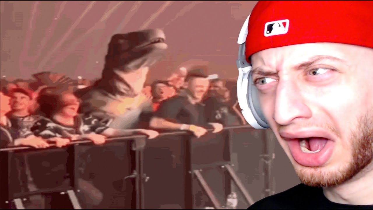 I Reacted To Your Memes And They Are Prehistoric