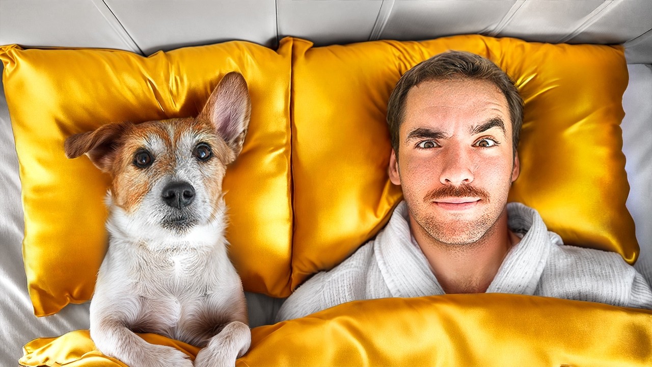 I Tested 5-Star Hotels Made for Dogs