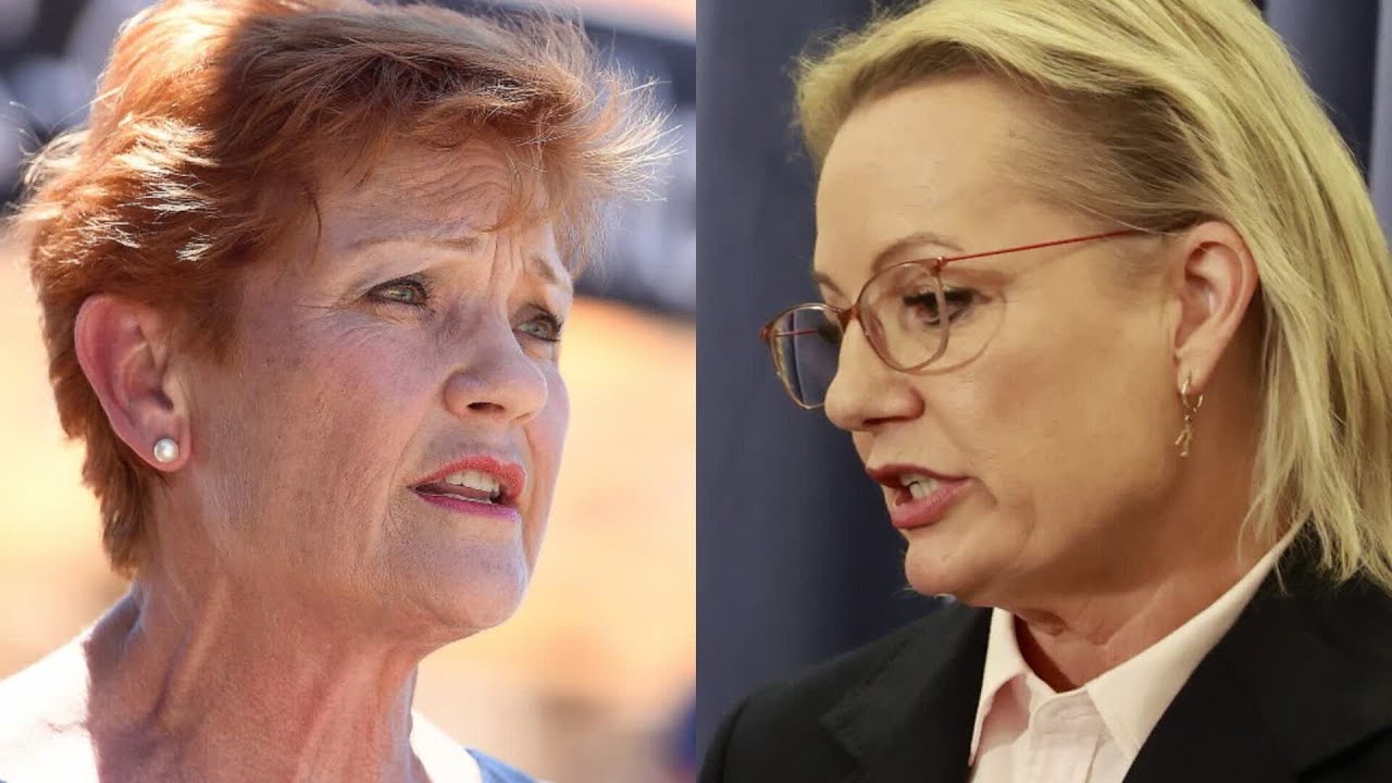 ‘I was disgusted’: Pauline Hanson hits out at Sussan Ley’s Welcome to Country speech