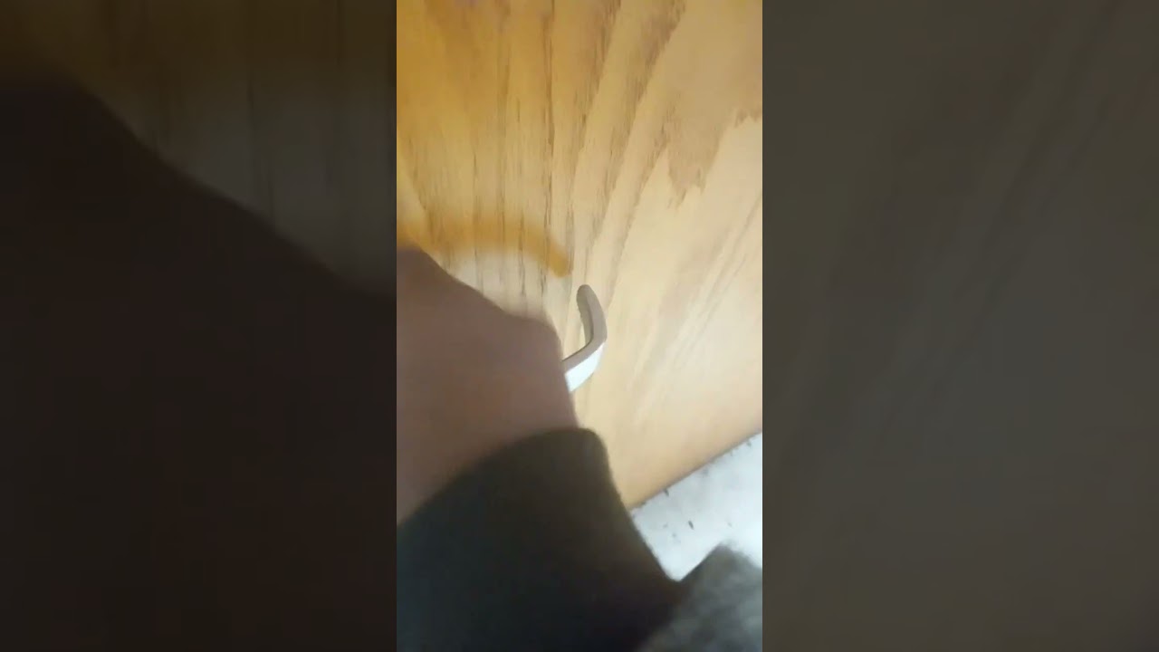 I went in there,  recorded my sister and instantly got her ass twice!