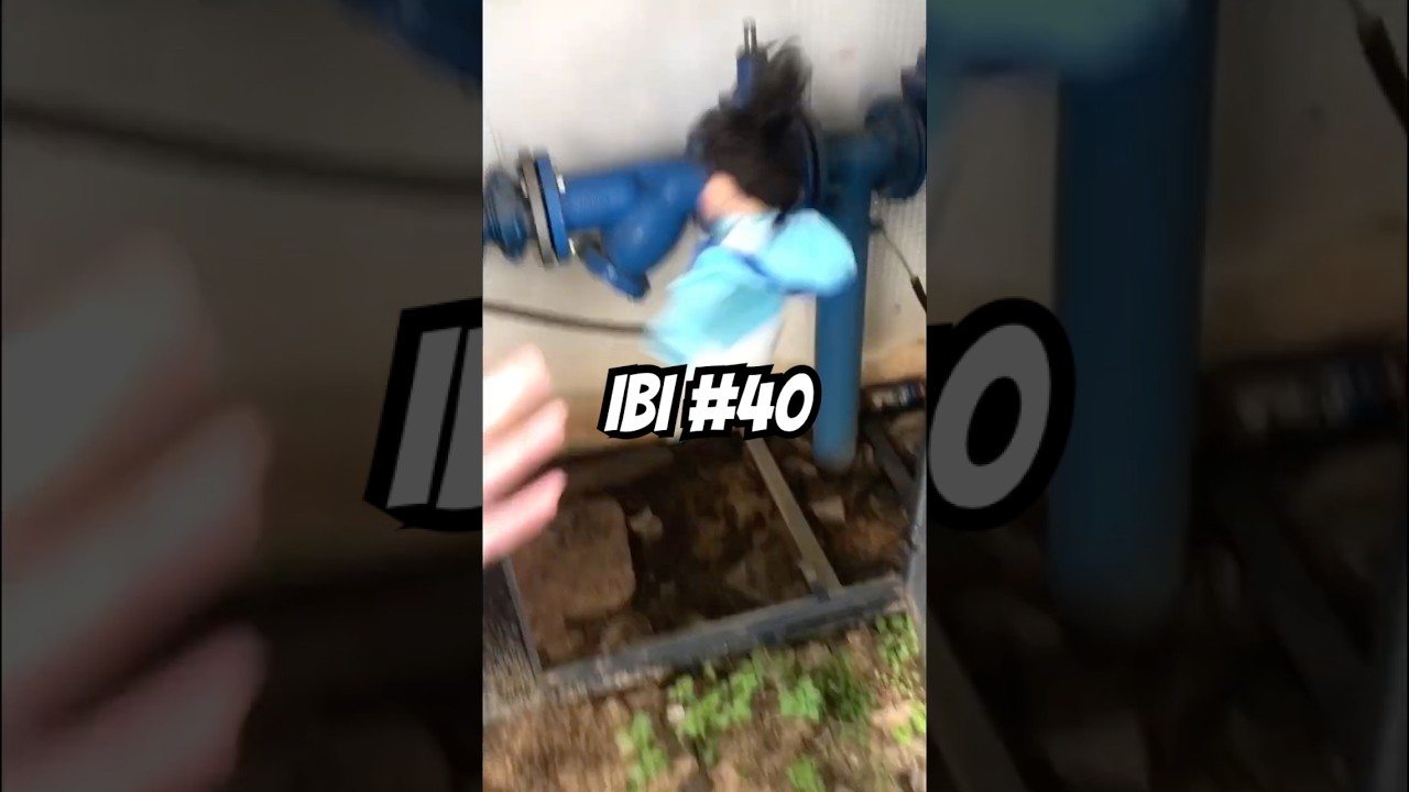 IBI #40 - yes