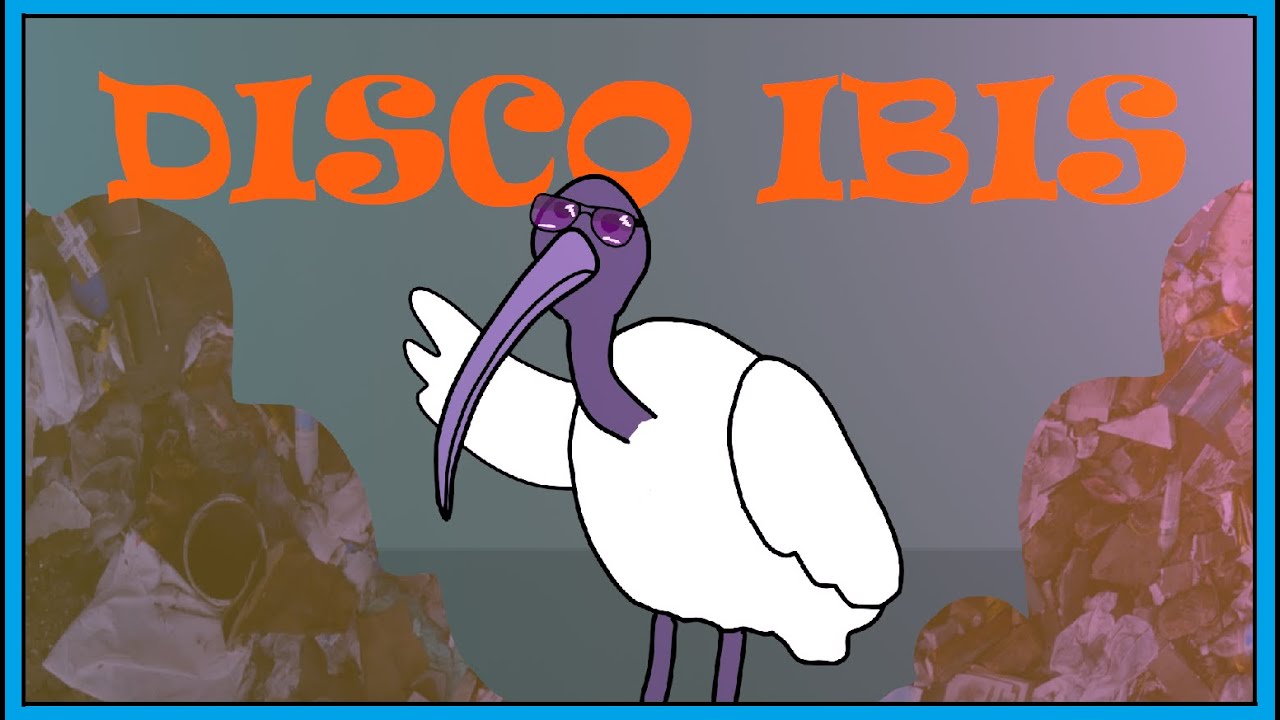 Ibis Song  - Fun Song For Kids | Smiley Rhymes
