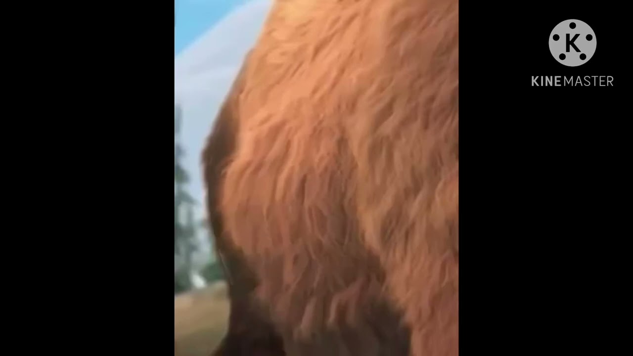 Ice age: Ellie stomach growl
