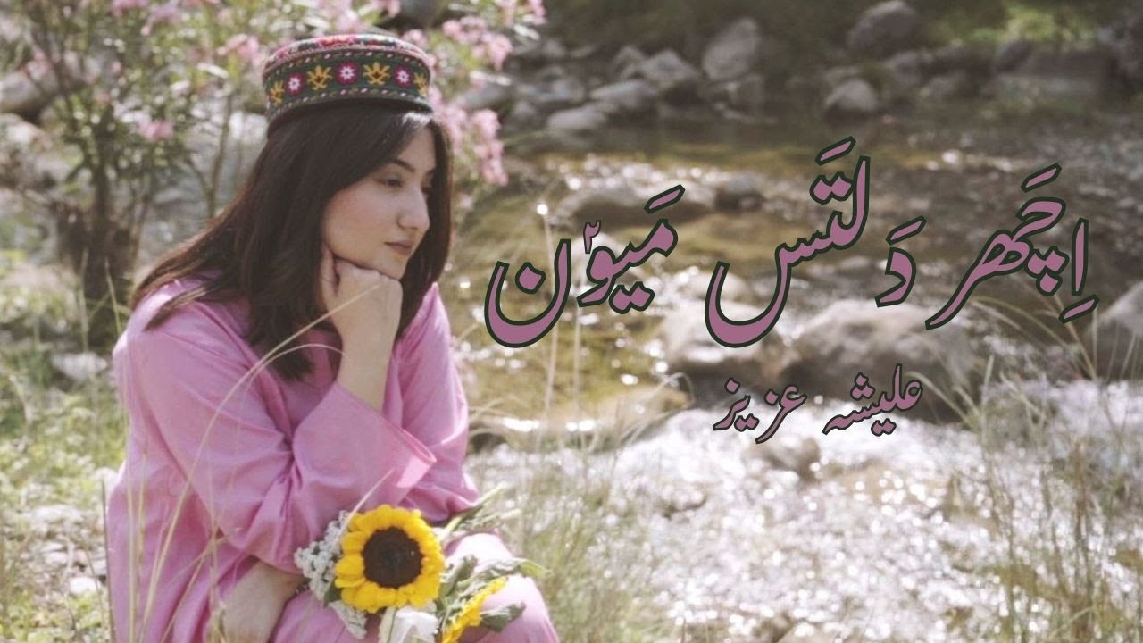 Ichar Daltas Mayoun || Peecha Peechao || Alisha Aziz