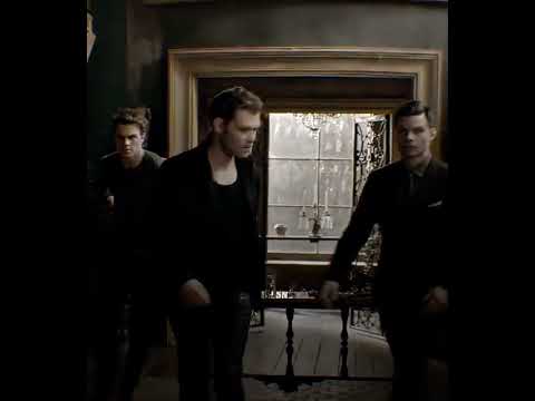 iconic mikaelson walks#tvdu #theoriginals #legacies #mikaelsonfamily