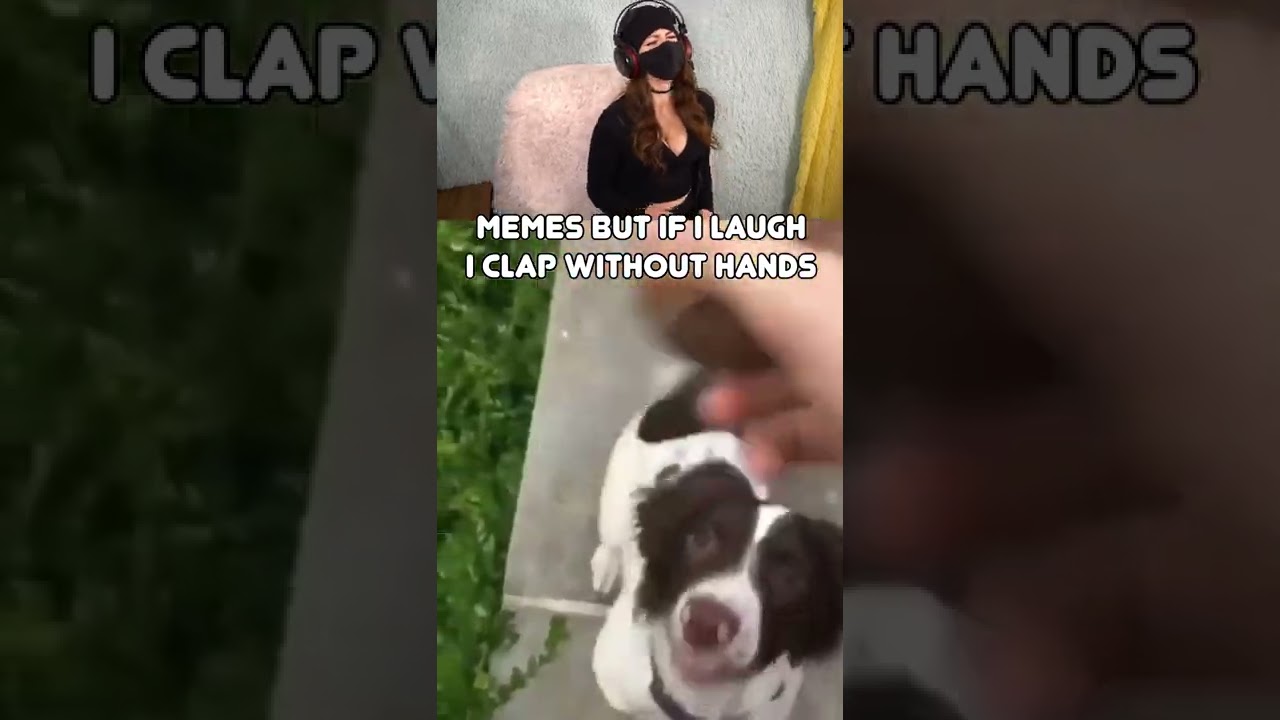 if I laugh I clap my #shorts  #memes