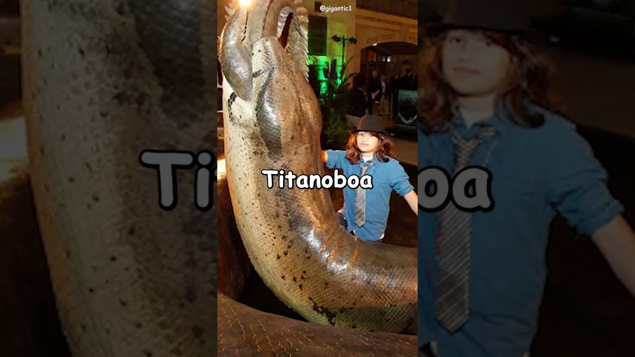 If Titanoboa Did not Extinct #shorts