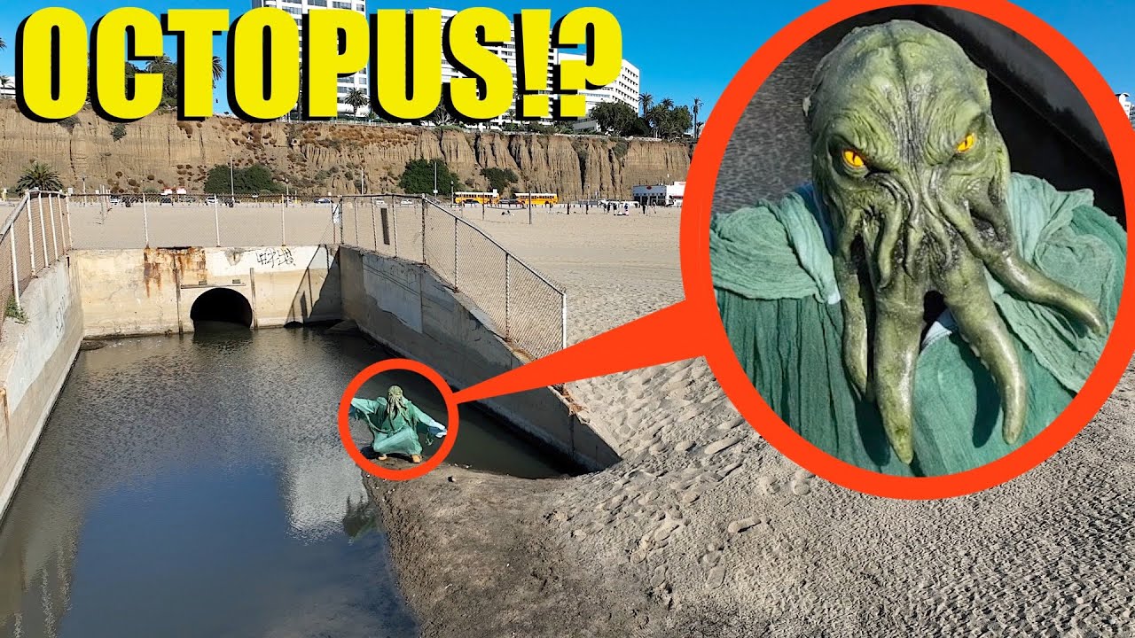If you ever see this Man dressed as an Octopus, RUN and CALL for help!! (The Animal People)