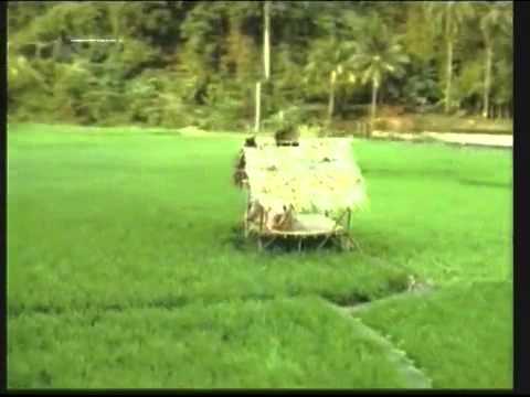 Iklan RCTI OKE Jaman Dulu di Sawah