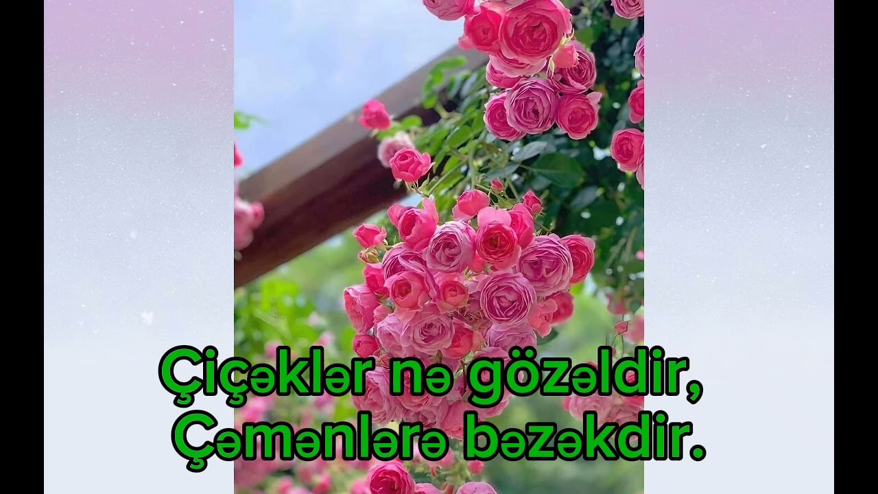 Çiçəklər uşaq mahnısı #karaoke #uşaq #piano  Nüşabə Nuri